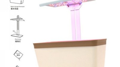 햇빛 쨍쨍! 베란다 바질 수경재배 키트 득템 후기 (할인까지?!)